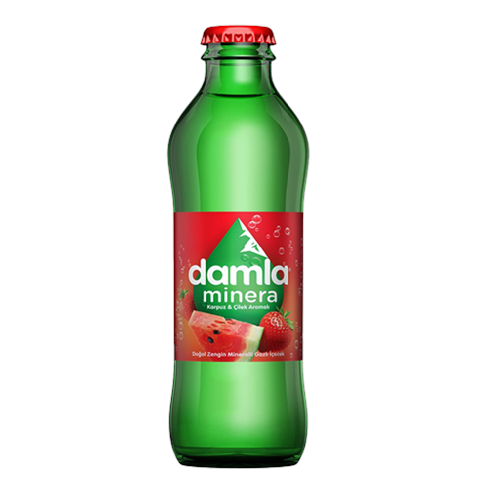 DAMLA ÇİLEK KARPUZ 200ML