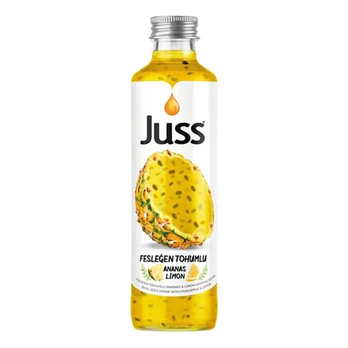 JUSS ANANAS LİMON 250ML