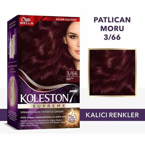 KOLESTON KİT BOYA 3/66 PATLICAN MORU