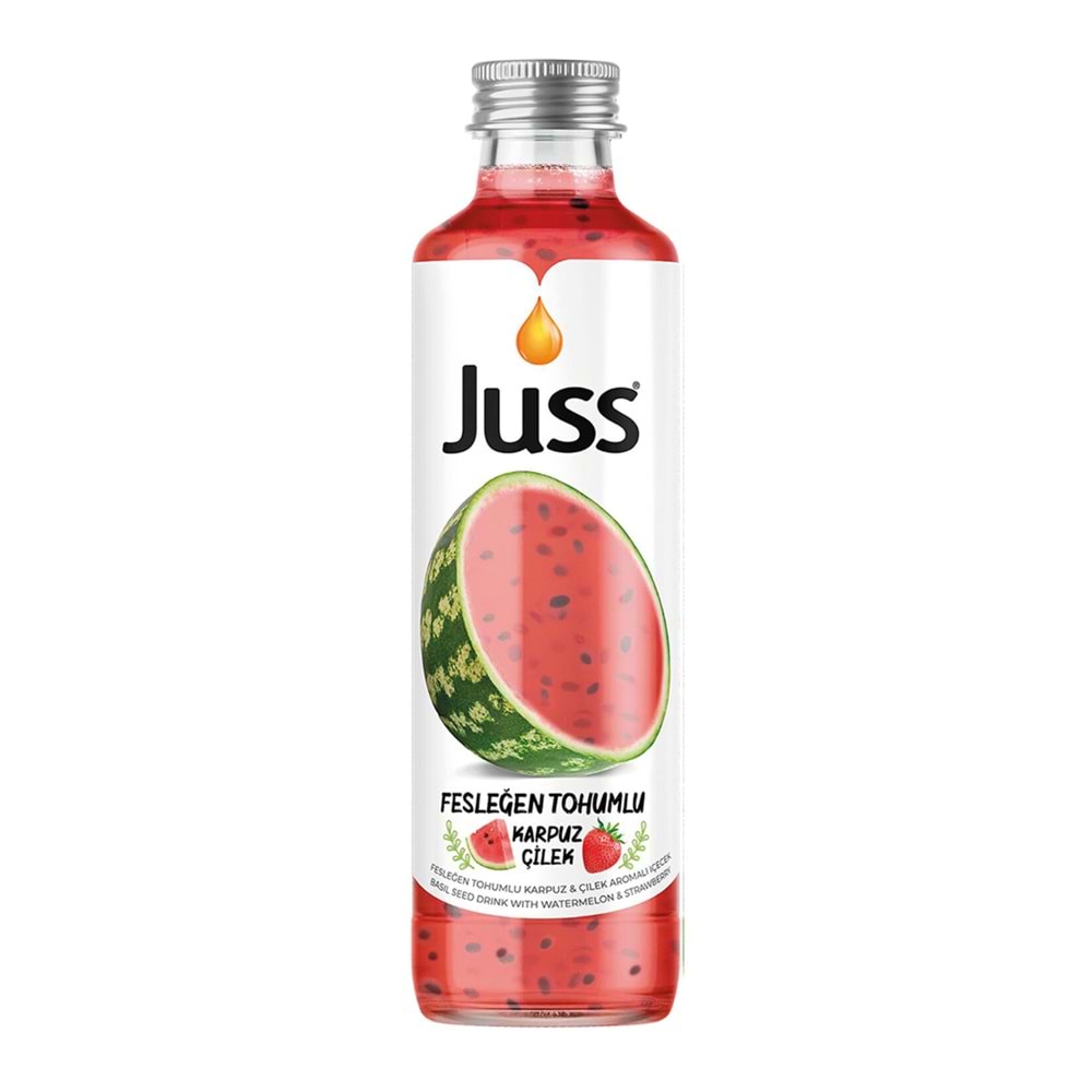 JUSS KARPUZ ÇİLEK 250ML