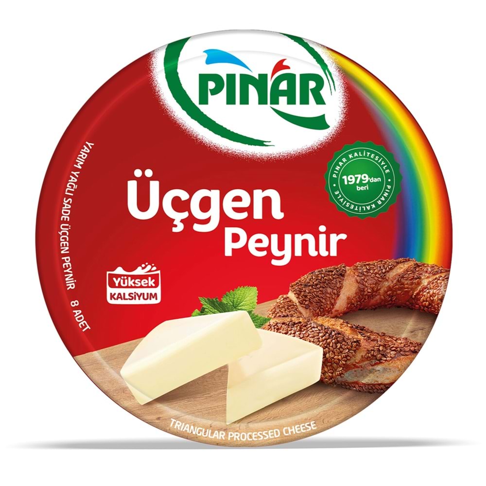 PINAR ÜÇGEN PEYNİR 100GR