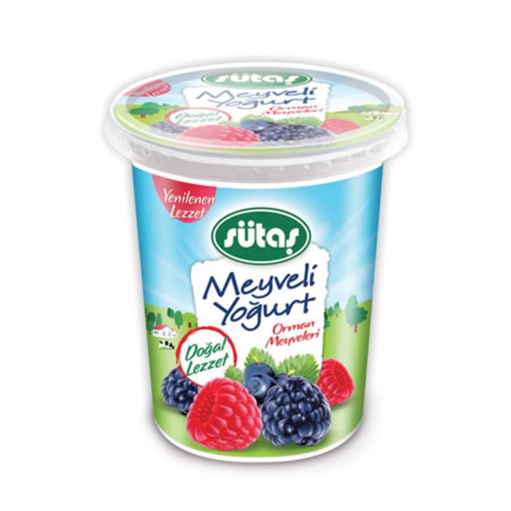 SÜTAŞ YOĞURT ORMAN MEYVELİ 500ML